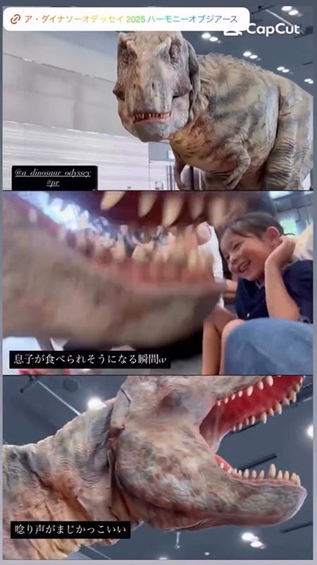 動画