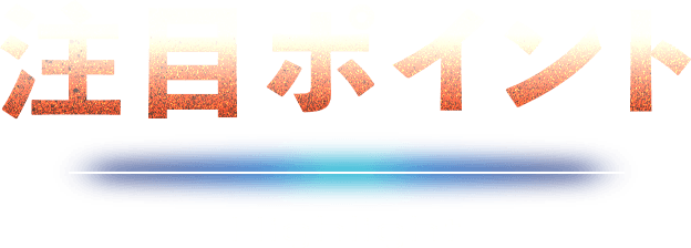 注目ポイント Highlight