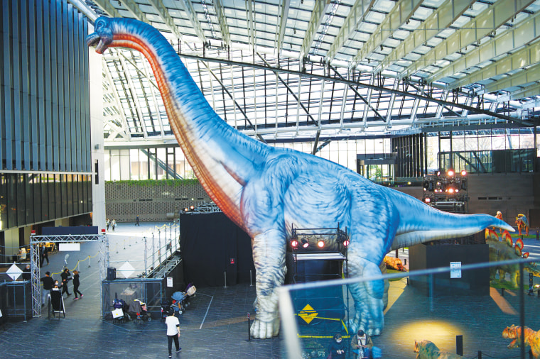 全長20m超の実物大ブラキオサウルス